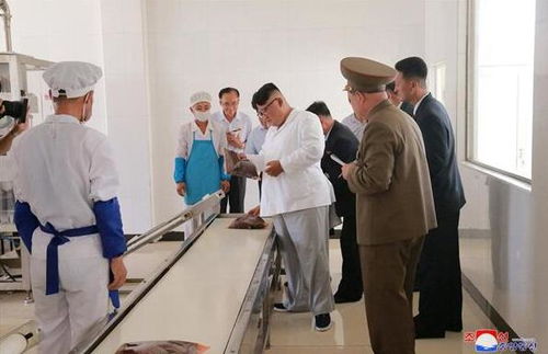 金正恩視察朝軍方食品加工廠納豆生產(chǎn)線，稱贊其健康價值